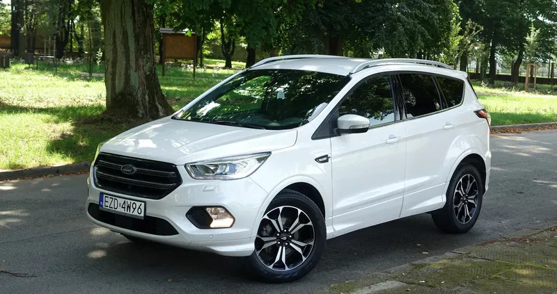 samochody osobowe Ford Kuga cena 84990 przebieg: 42000, rok produkcji 2019 z Szprotawa